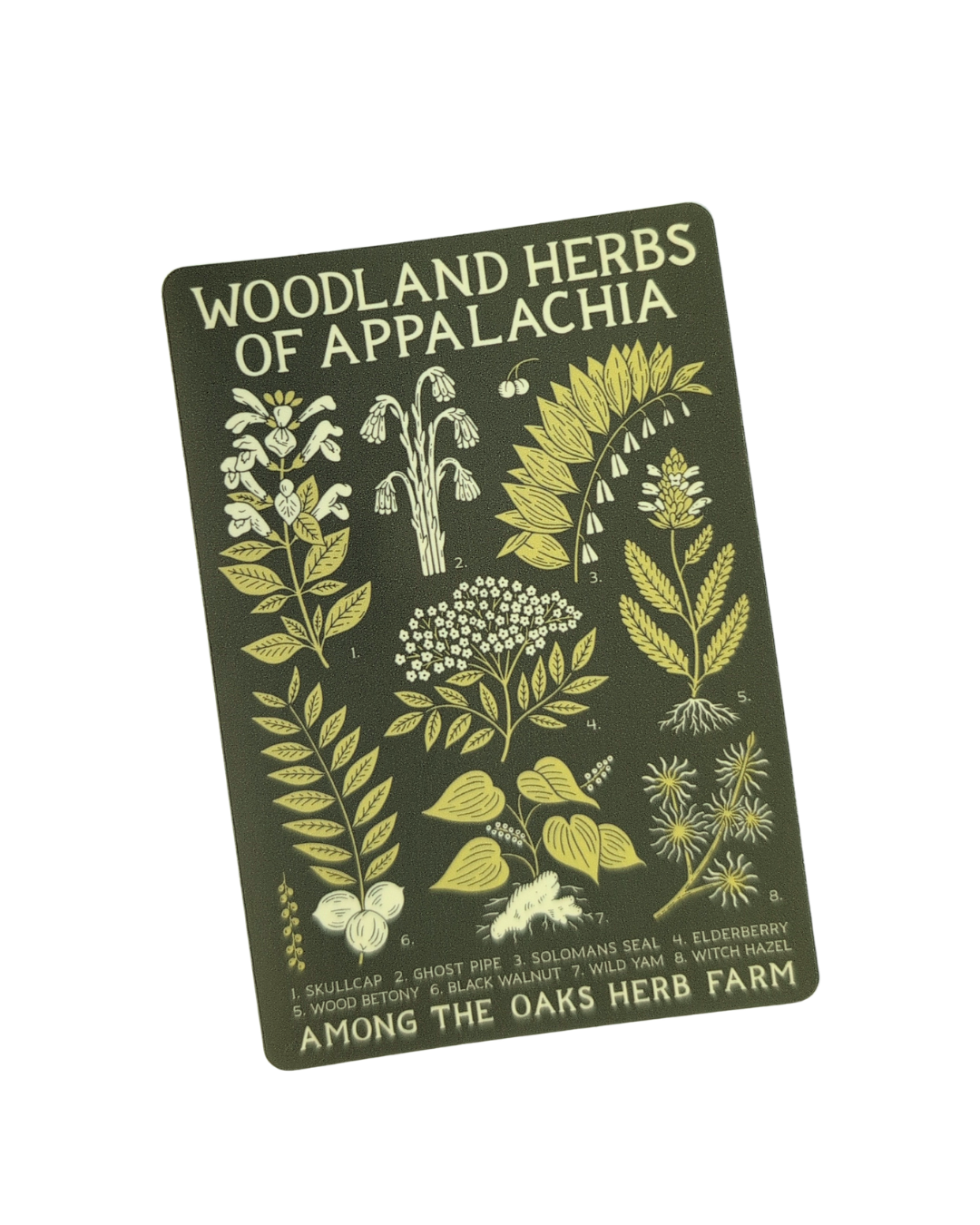 Woodland Herbs of Appalachia Sticker Wholesale