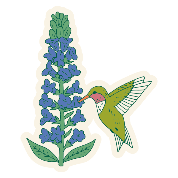 Meadow Herbs Stickers