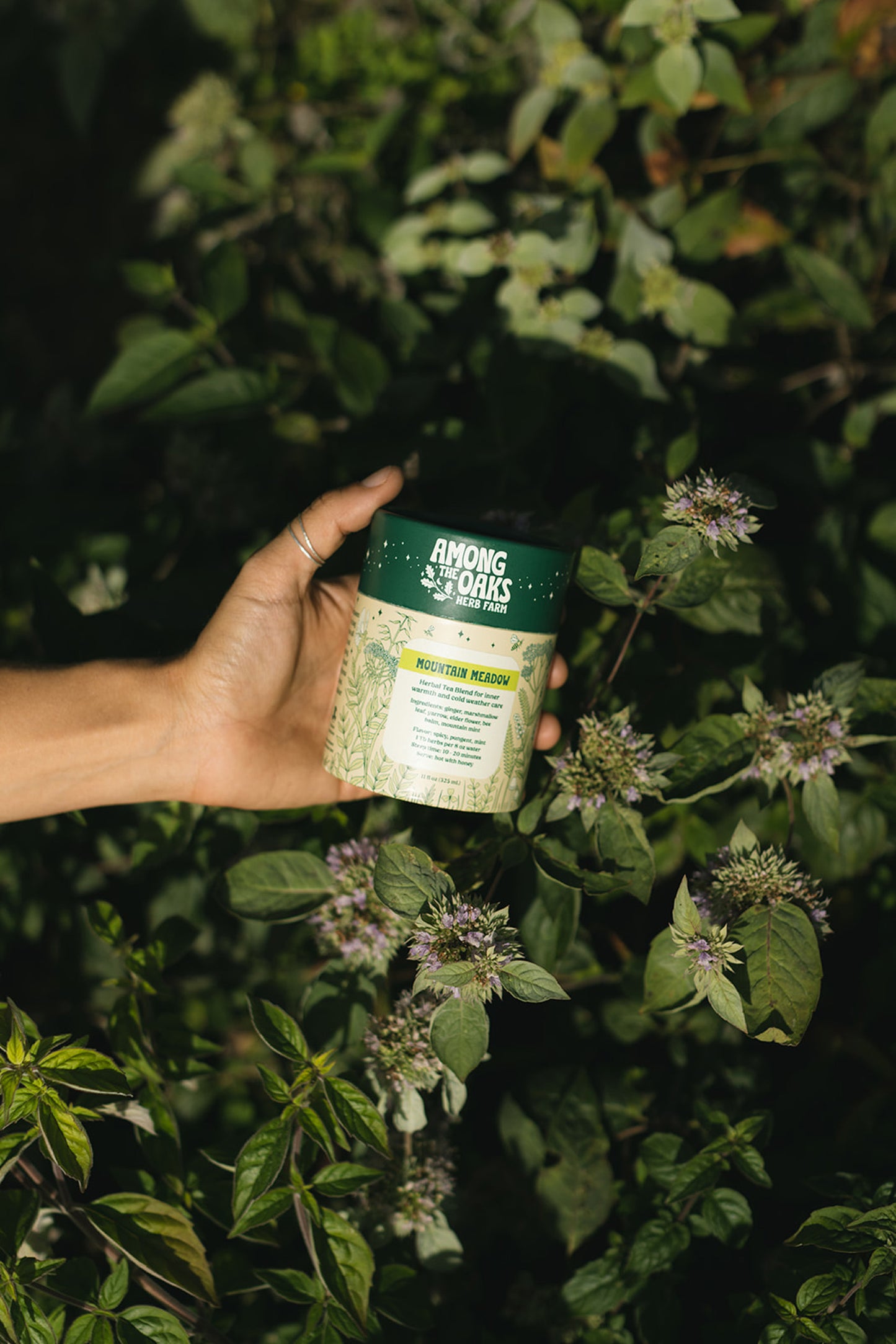 Mountain Meadow Tea Wholesale