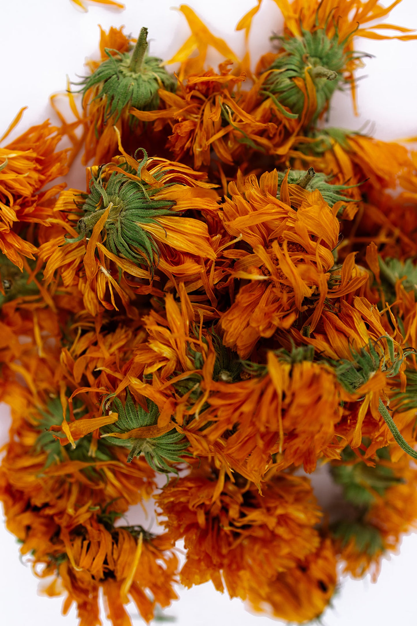 Dried Calendula