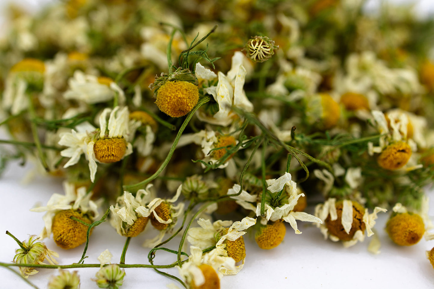 Dried Chamomile