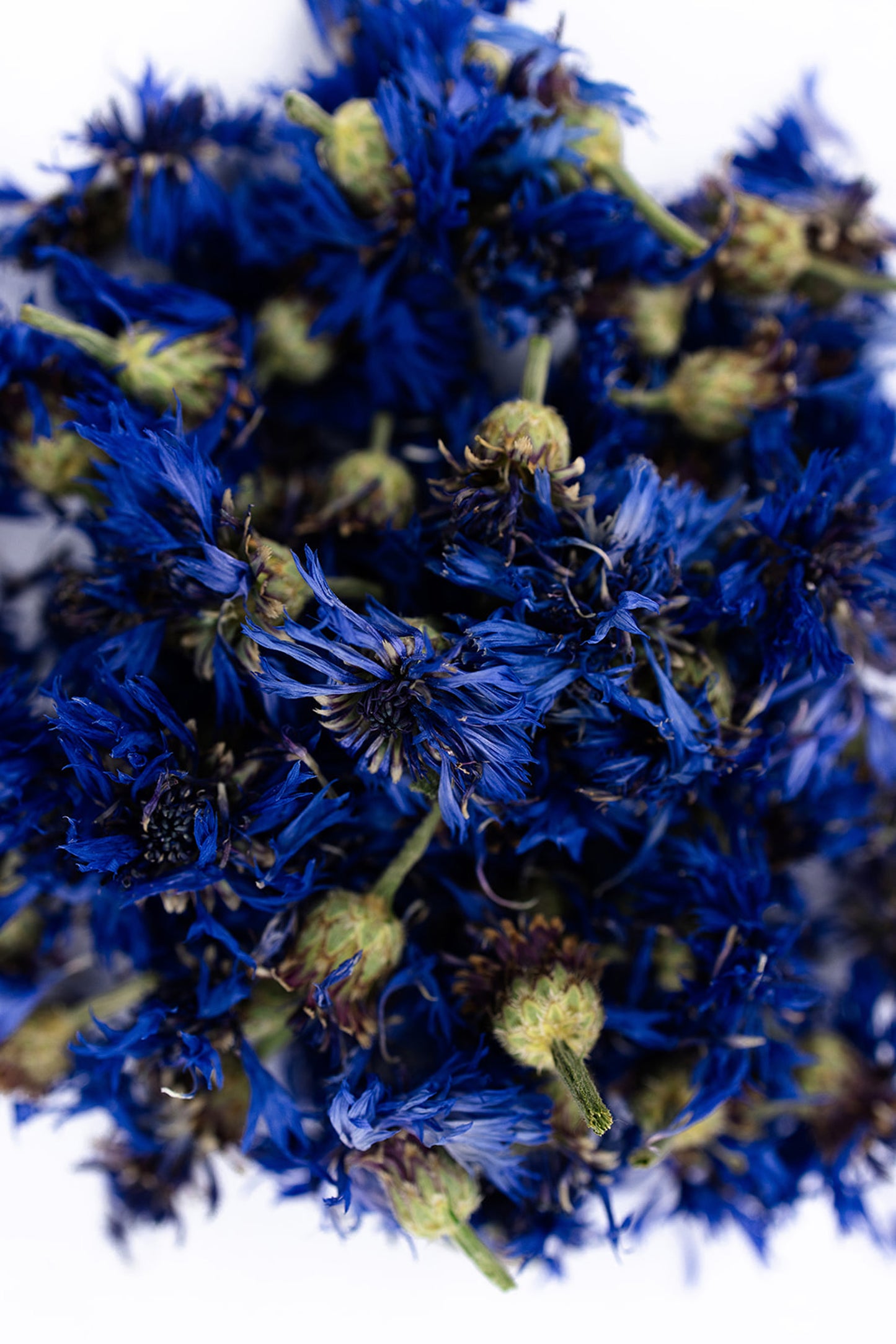 Dried Cornflowers