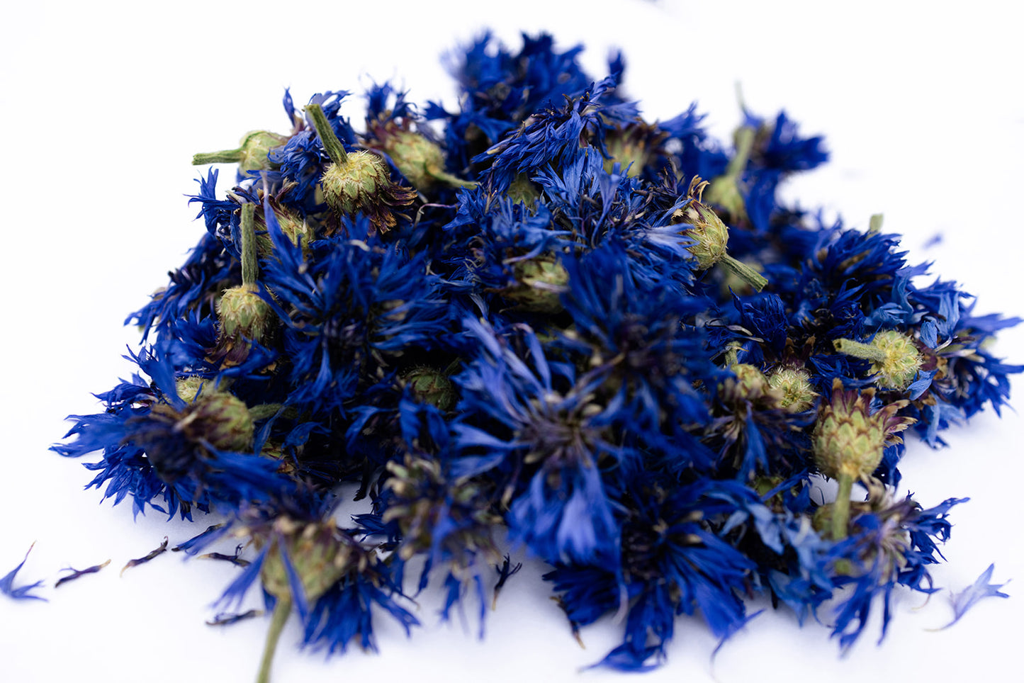 Dried Cornflowers
