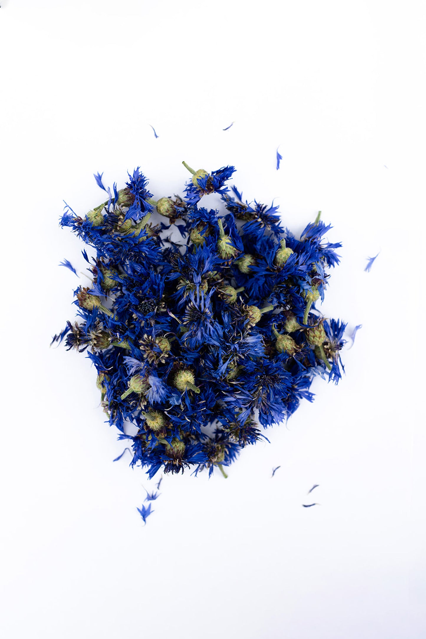 Dried Cornflowers