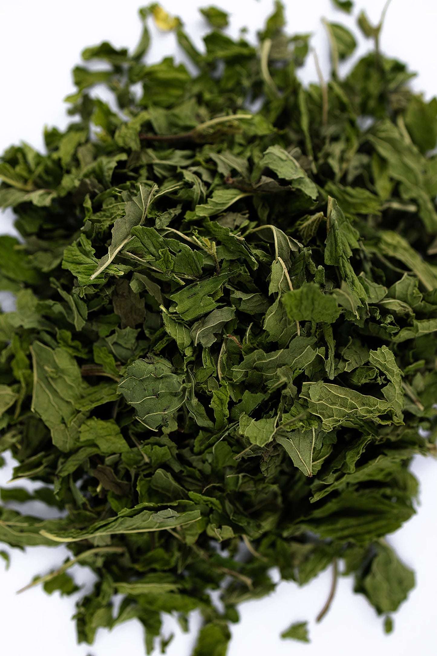 Dried Spearmint