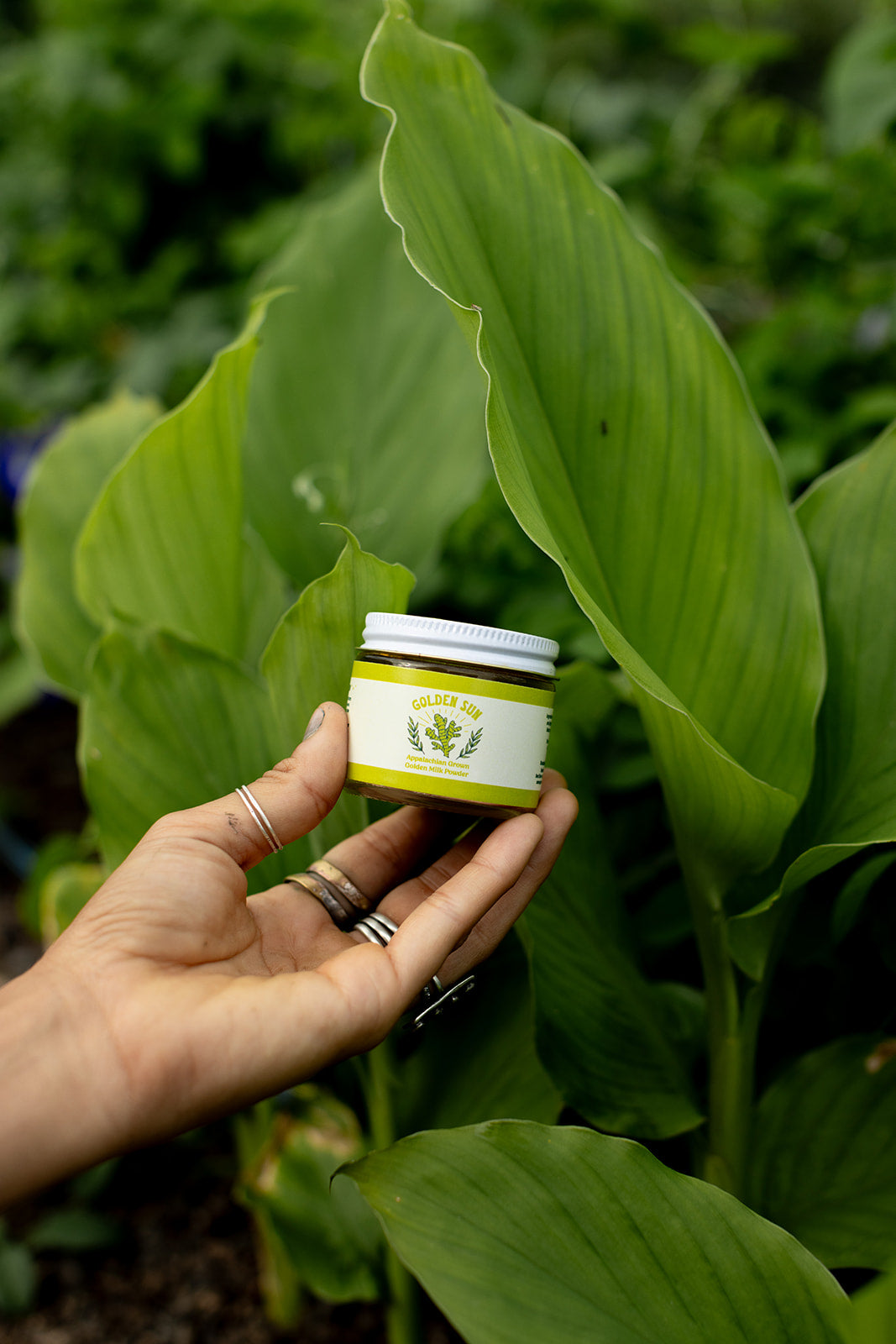 Golden Sun Turmeric Chai Tea Powder