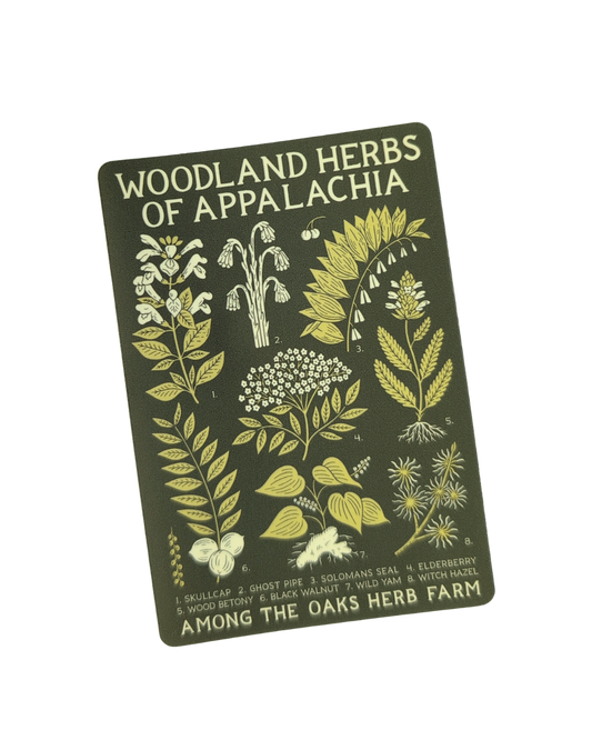 Woodland Herbs of Appalachia Sticker Wholesale