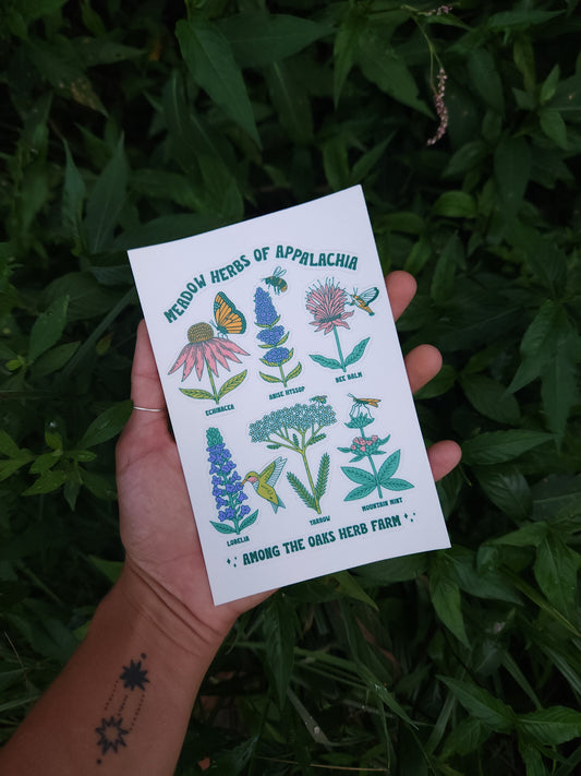 Meadow Herbs Sticker Sheet