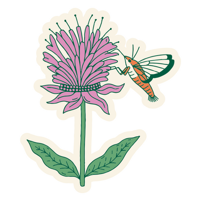 Meadow Herbs Stickers Wholesale