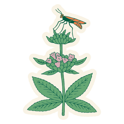 Meadow Herbs Stickers Wholesale