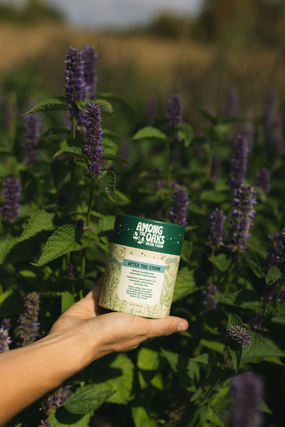 Wellness Set