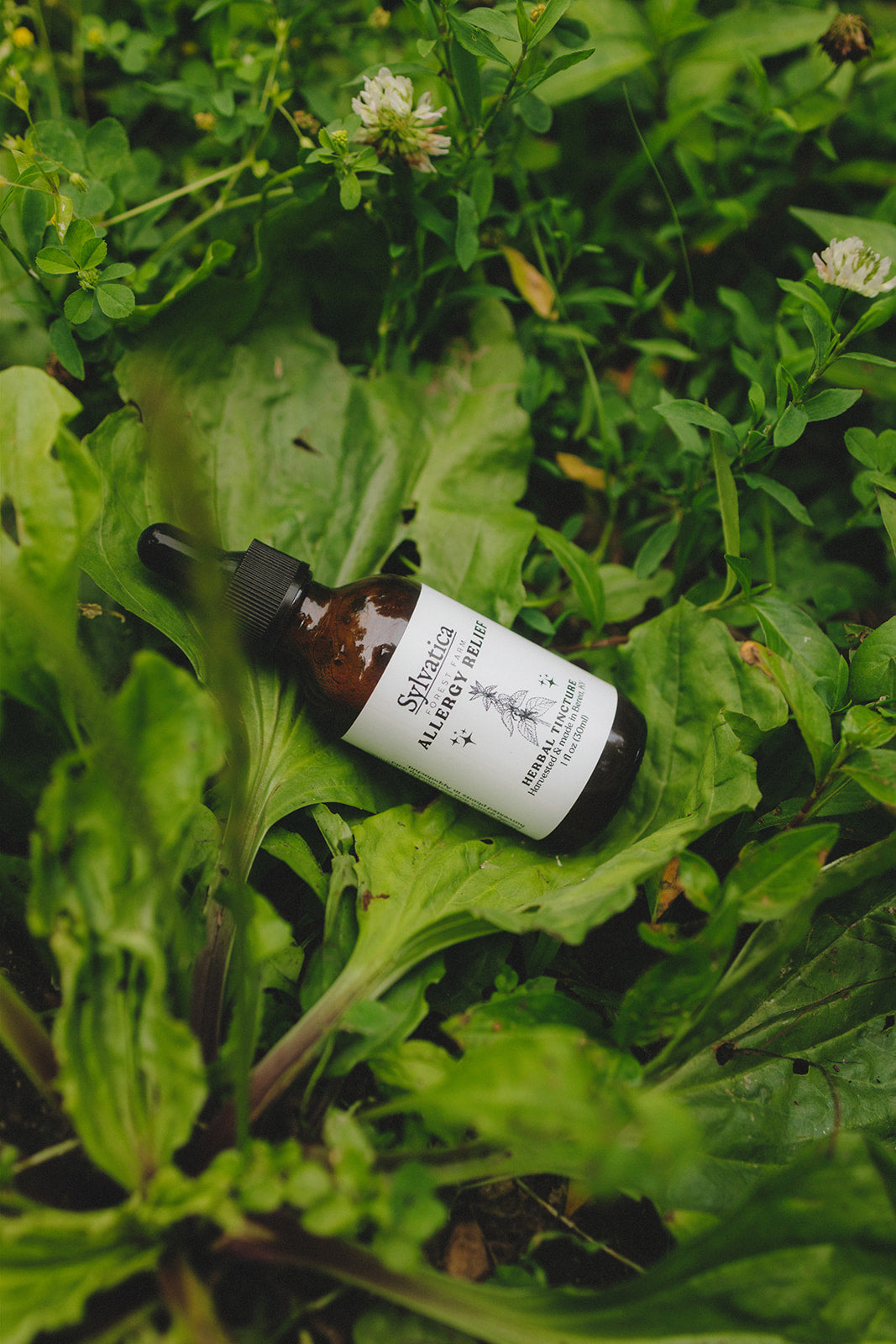 Appalachian Herbal CSA - 2026