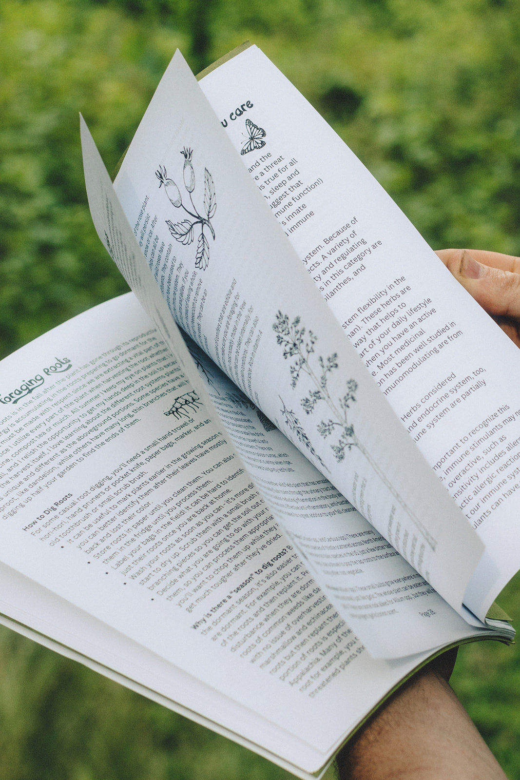 Herbalism 101 Booklet: Digital Download