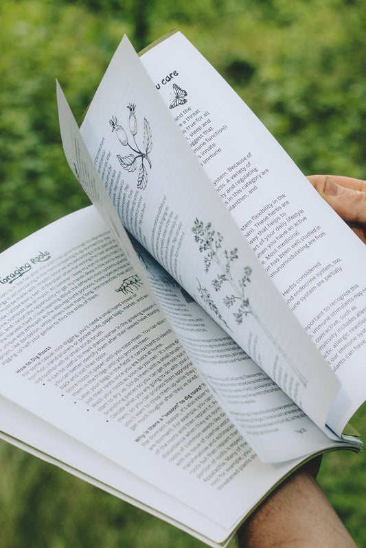 Herbalism 101 Booklet: Digital Download